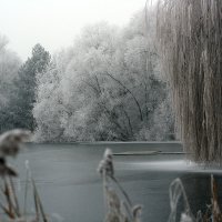 1291572010_winter3