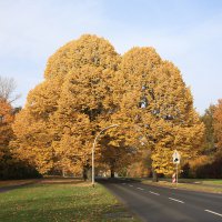 Lehndorf mal anders